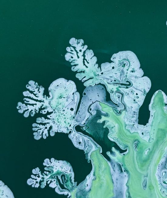Green abstract shapes representing natural growth and cellular health